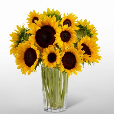 Bouquet de fleurs Sunflower Lover